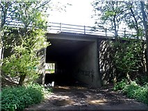 TL2330 : Footpath under the A1(M) by Bikeboy