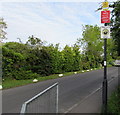 Three notices on a Station Road lamppost, Little Stoke