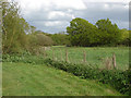 Fields, Sow Moor