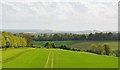 View south over farmland near Tangley, Hampshire