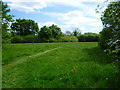 Grassland at North Farm