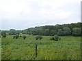 Fields next to the Avon