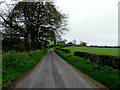 Drumconnelly Road, Drumconnelly