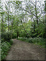 TQ2796 : Hadley Wood, Cockfosters, Hertfordshire by Christine Matthews
