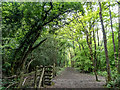 Covert Way Nature Reserve, Hadley Wood, Barnet, Hertfordshire