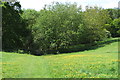 Footpath to Youlbury