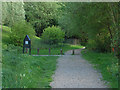 Footpath, McLaren Park