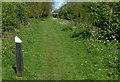 Towpath along the Oxford Canal