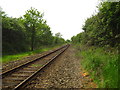 The East Suffolk Line near Campsea Ashe