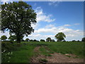 Farmland around Eglwys Cross