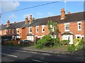 Houses along Prospect Road