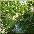 River Colne, from Stone Bridge, Great Yeldham