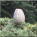 SP3265 : Maturing cone of Cedar of Lebanon, Jephson Gardens, Royal Leamington Spa by Robin Stott