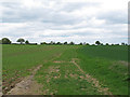 Bridleway near Craig