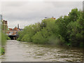 SE2933 : River Aire, looking downstream, Leeds  by Stephen Craven