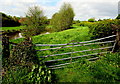 Gate to a field at the NE edge of a pond, Bridstow