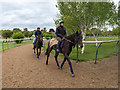 Racehorses exercising on The Severals