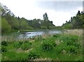 NZ2483 : Fishing pond in Choppington Community Woods by Russel Wills