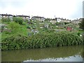 Canalside allotments between locks 12 and 11, Bath