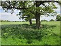 Footpath to Drury Lane