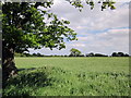 Footpath to Drury Lane