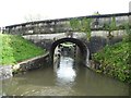 Horseshoe Walk Bridge [No 190] from the west