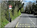 Bus Stop on Staines Road East