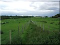 Footpath across Osiers Farm, Teynham