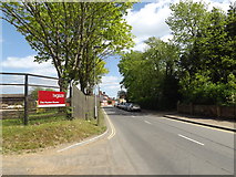 TM1180 : Roydon Road, Diss by Geographer