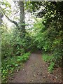 Path in Jesmond Dene