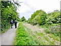 Overgrown Nottingham Canal