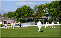 SO9095 : Club cricket in Penn, Wolverhampton by Roger  D Kidd