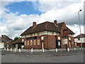 Leopard of Erdington 3 - Birmingham