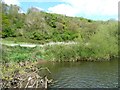ST6570 : North bank of the River Avon, below Cleeve Wood by Christine Johnstone