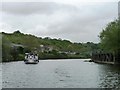 Trip boat on the Avon, south-west of St Anne