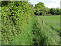 Footpath, Winkfield