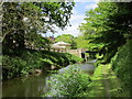 The Chesterfield Canal between bridges 47 and 48