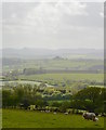 SX1859 : Farmland near Pelyne, Cornwall by Edmund Shaw