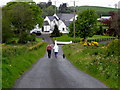 Walkers on Desert Road