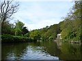 River Avon at Birch Wood