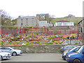 Gardens above Ferry Road, Stromness