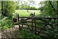 ST4706 : Gate on River Parrett Trail near South Perrott by Becky Williamson