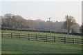 Fields, Dalwood