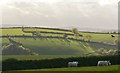 SX1655 : Harmony in green, near Highgate, Cornwall by Edmund Shaw