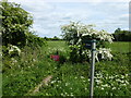 Footpath across the fields