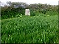 Raginnis Trig Point