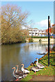 River Thames, Oxford