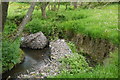 Failed Gabion Basket River Bank Protection