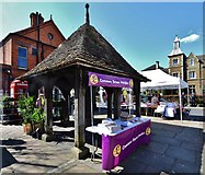 SK8608 : Oakham Saturday Market 7: The UKIP stall by Michael Garlick