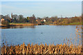 Lake at Burton Salmon